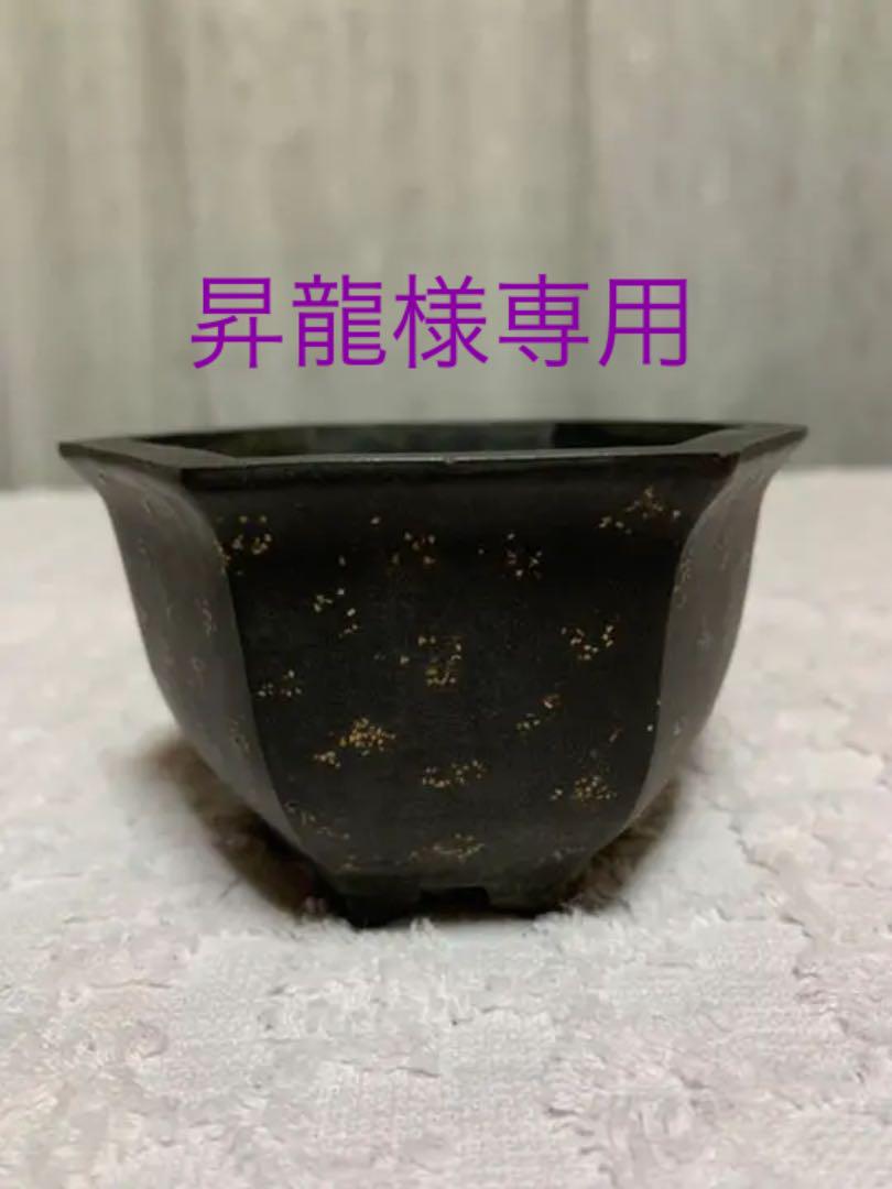 昇龍様専用ページ