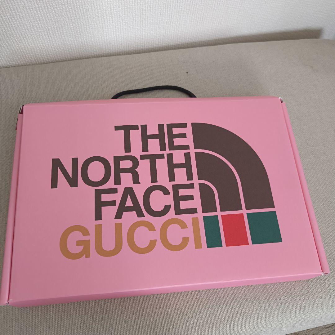 THE NORTH FACE x GUCCI Tシャツグッチ×ノースフェイス
