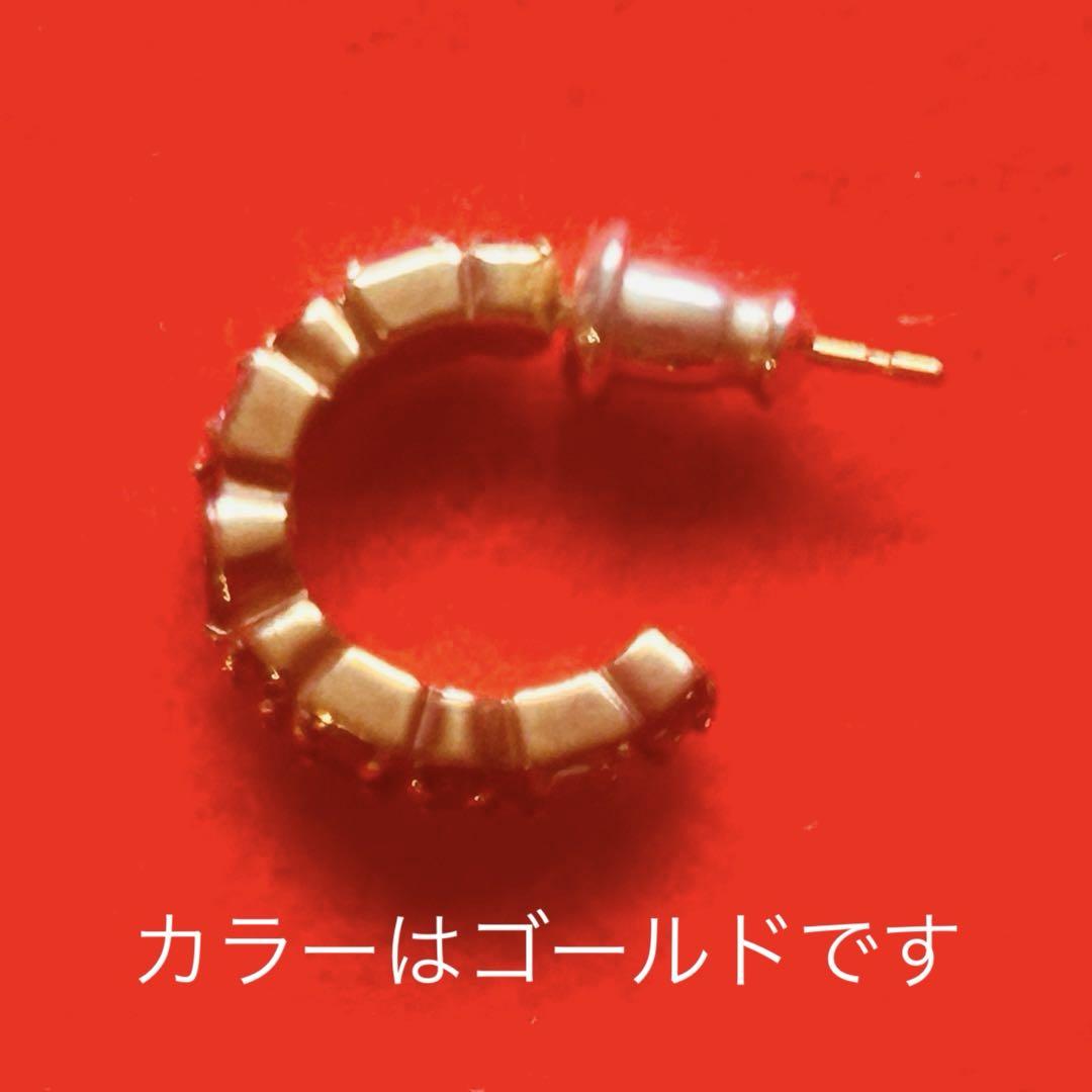 整理特価 早い者勝ち GARNI ガルニ　メンズ　ピアス　2点セット シルバー