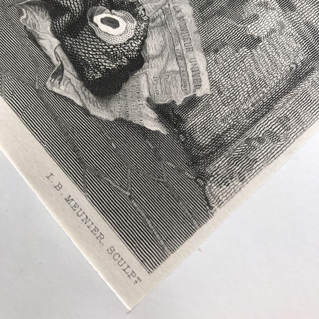 希少 アンティーク銅版画 Louis XVII 希少