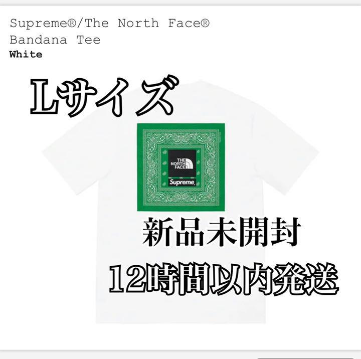 Supreme The North Face Bandana Tee