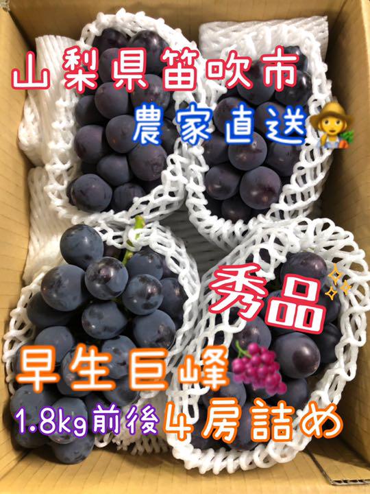 64%OFF!】 りん様専用 山梨県笛吹市 種無し巨峰 早生巨峰 4 64%OFF!】 りん様専用 山梨県笛吹市 種無し巨峰 早生巨峰 4