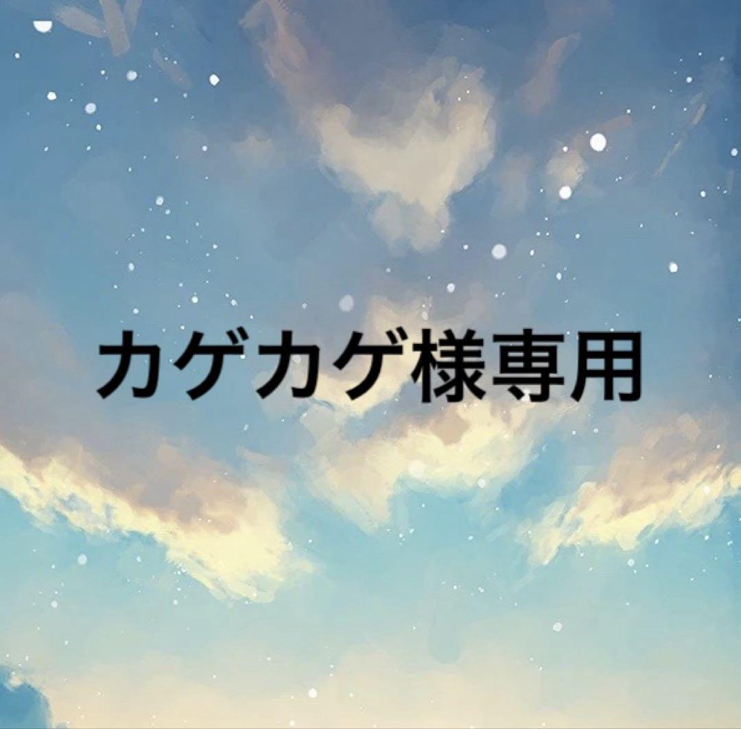 カゲカゲ