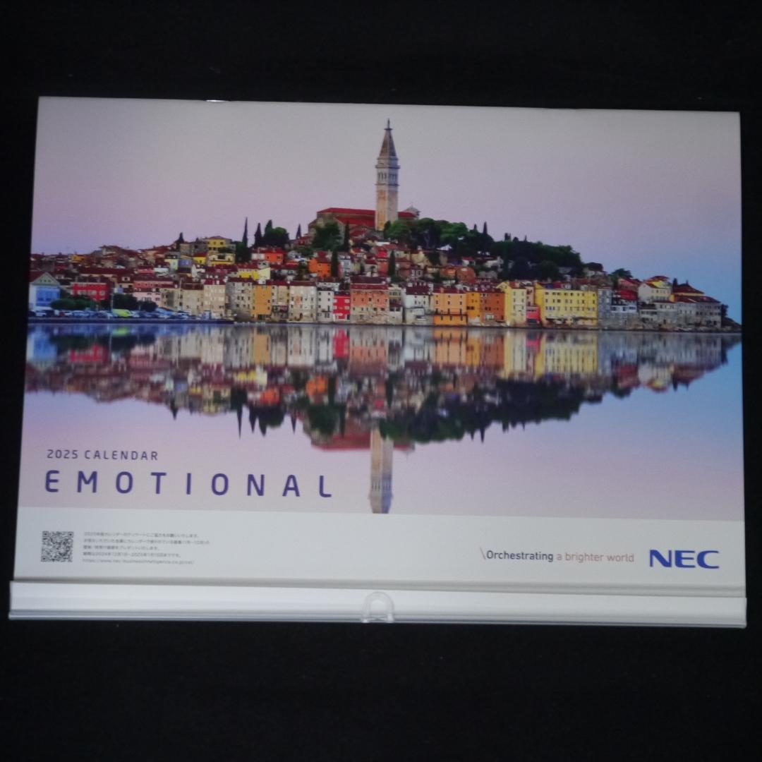 EMOTIONAL NEC 2025年 カレンダー 壁掛け メルカリ