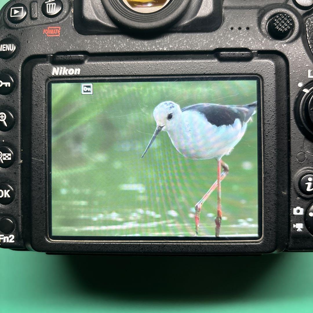 【ジャンク】Nikon D500