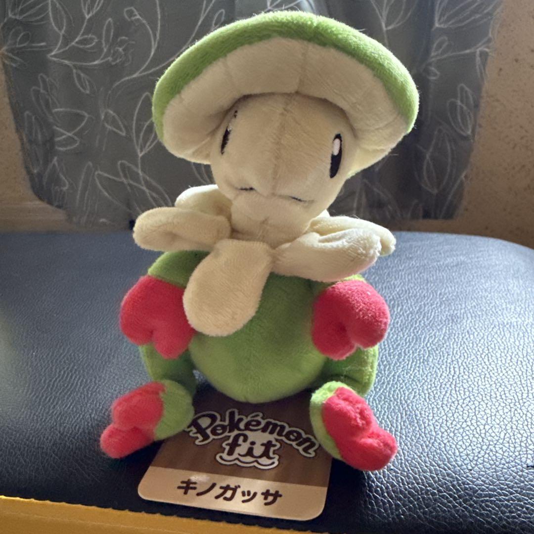 ポケモン fit キノガッサ ぬいぐるみ　旧タグ　希少