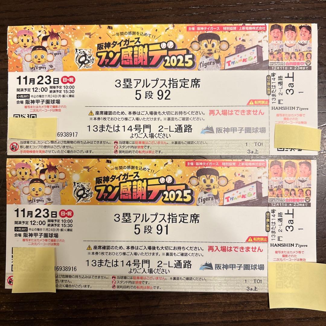 阪神タイガースファン感謝デー2025指定席チケット目立った傷や汚れなし