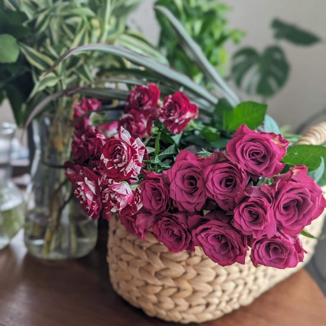 花の写真