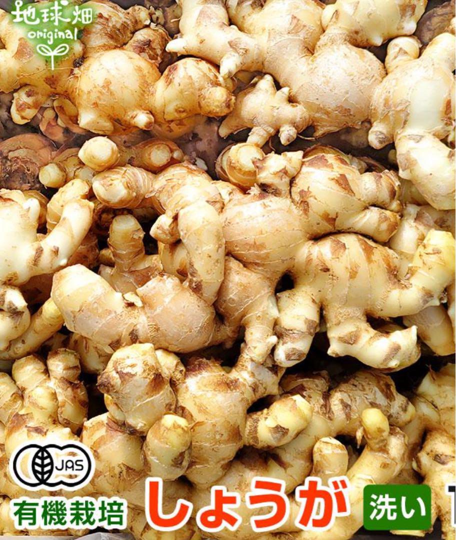 ⭐︎お買得⭐︎無添加！ちりめん佃煮　Lサイズ2キロ塊で。！お砂糖不使用