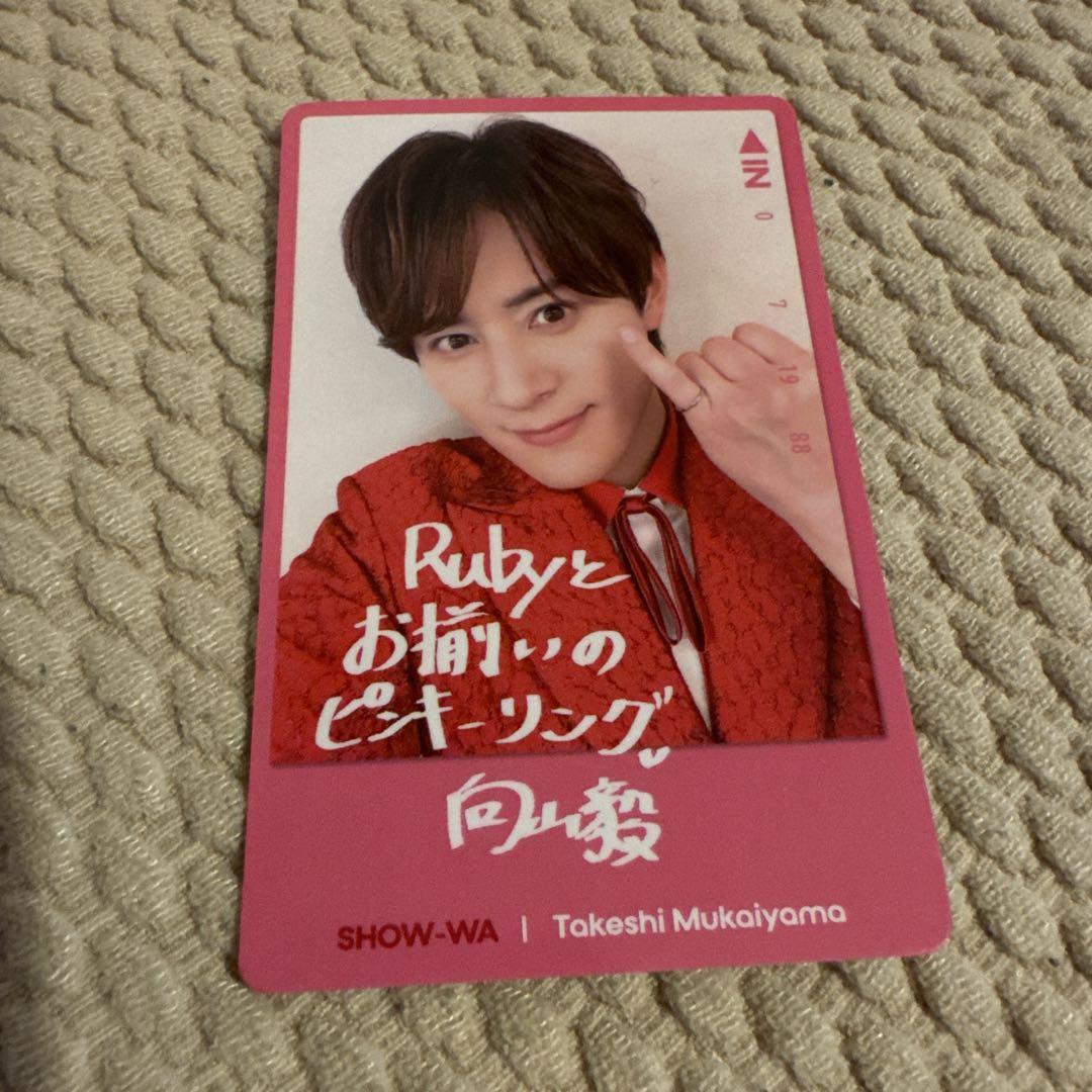 SHOW-WA 向山毅 パネル Amazon.co.jp: SHOW-WA 向山毅 名刺 2枚セット : おもちゃ