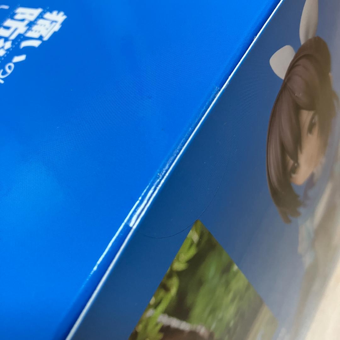 痛いのは嫌なので防御力に極振りしたいと思います。サリー フィギュア【未開封新品】