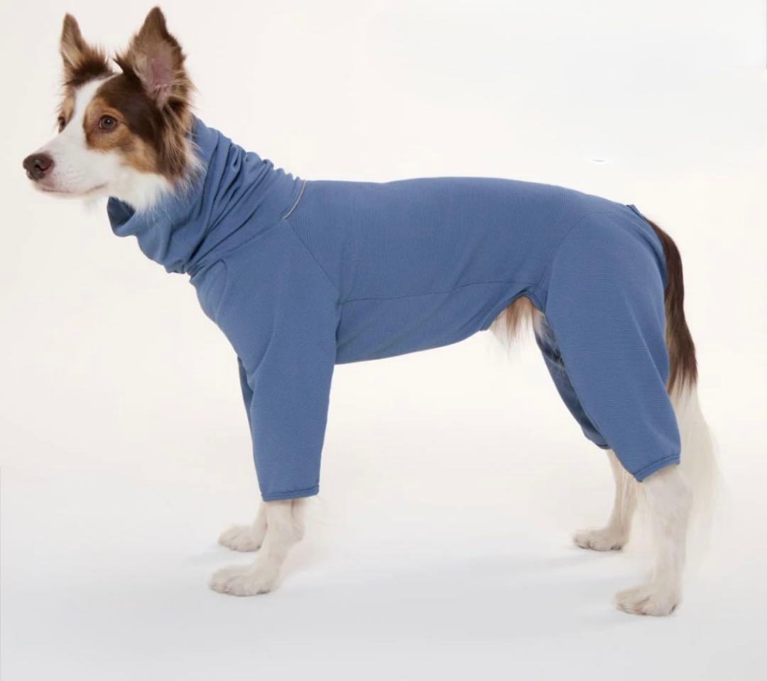 テールハイ　防虫アクティブスーツ　ML ミッドナイトブルー