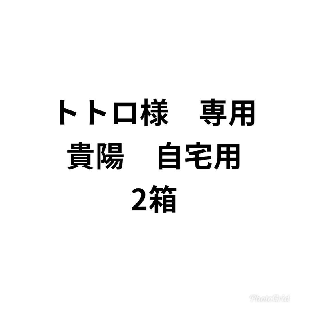 トトロ　貴陽　自宅用　2箱