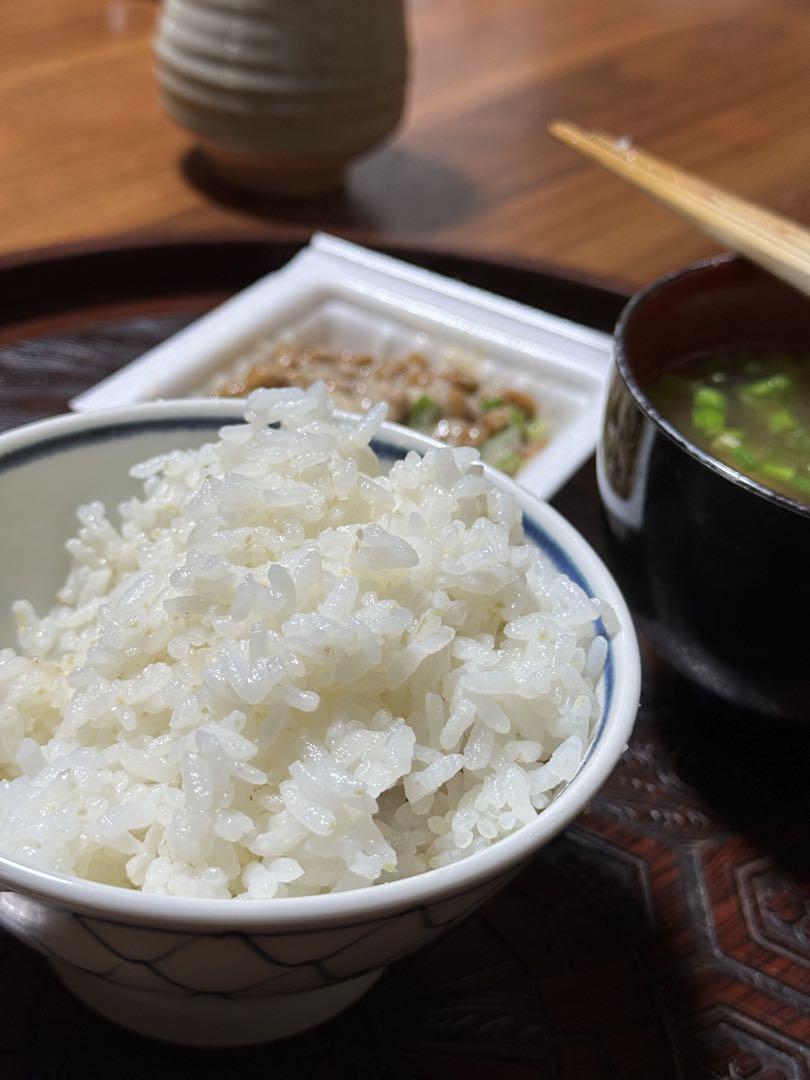 (即日発送)ヒノヒカリ 玄米 10kg 送料無料