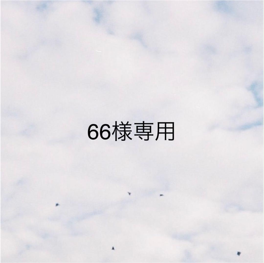 【超ポイント祭?期間限定】 専用 66様 - タバコグッズ