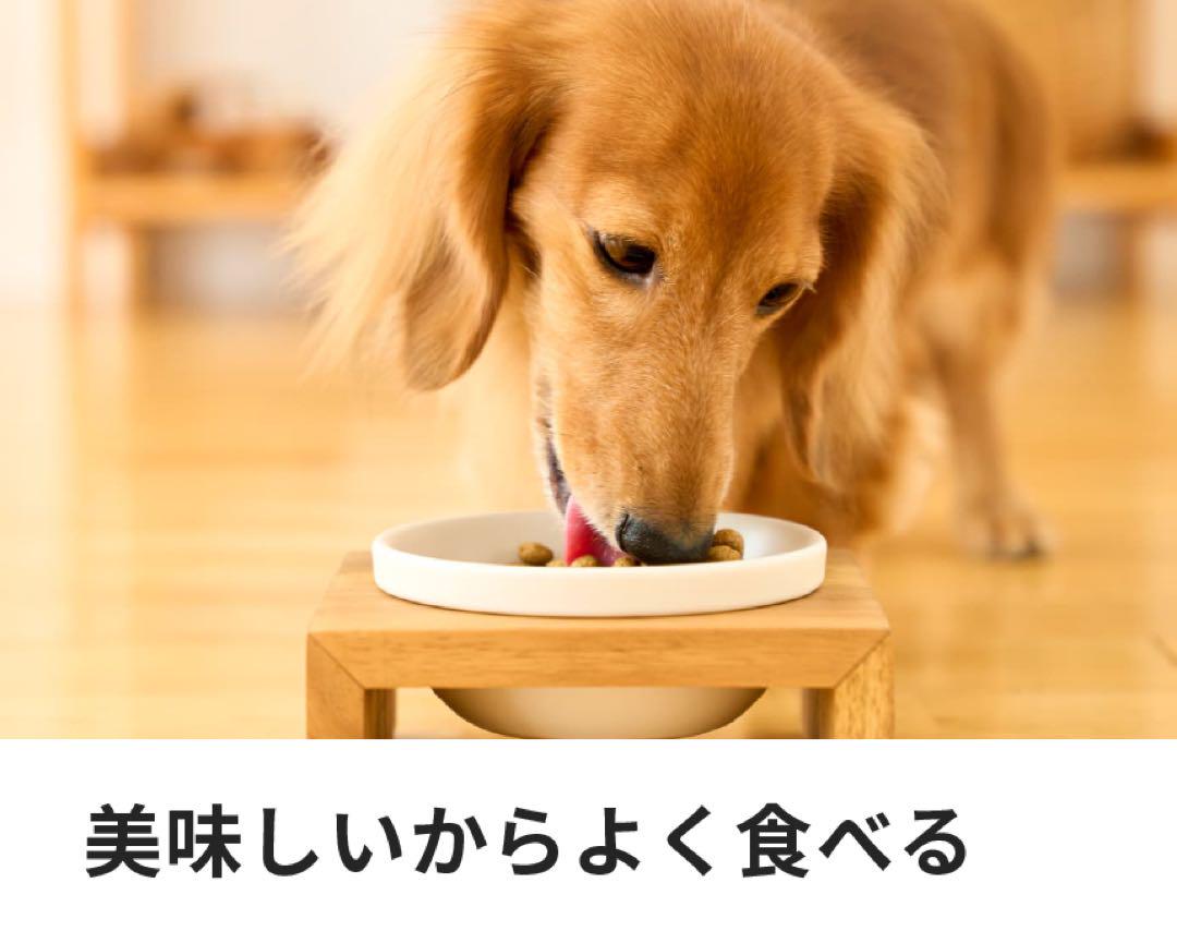 ドクターズケア 犬 尿石ケア 3kg リニューアル ドッグフード