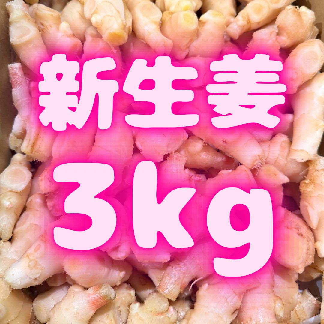 新物 新生姜 安いよ 03