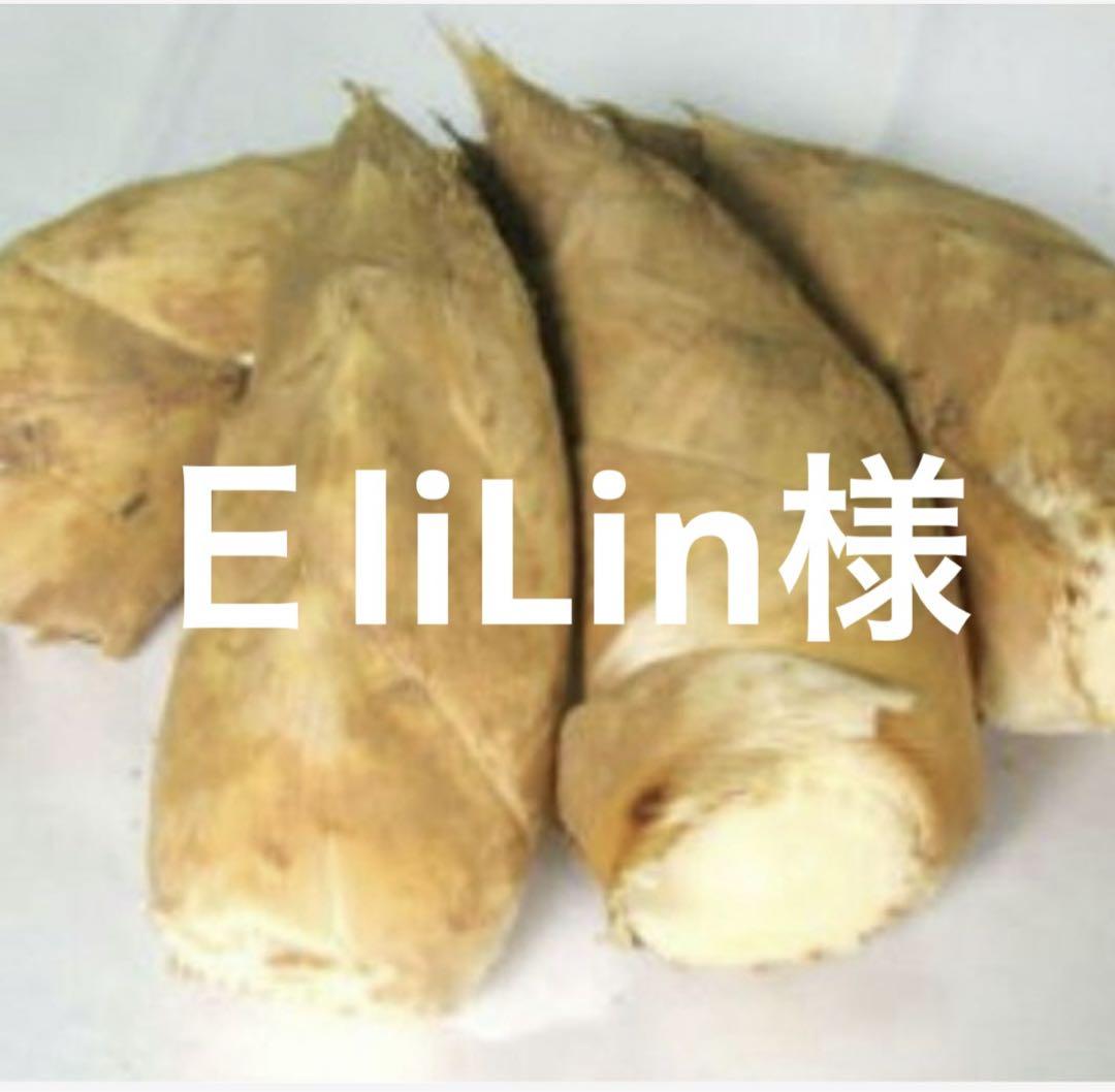 【スーパーセール】 京都山城産 関東クール便 朝掘り筍4kg Vegetables