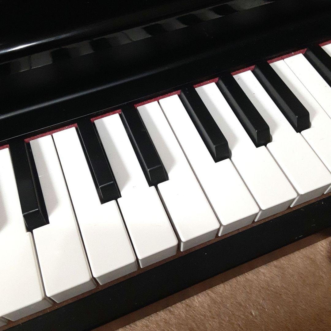 【送料無料】KORG MICROPIANO マイクロピアノ ミニ鍵盤61鍵