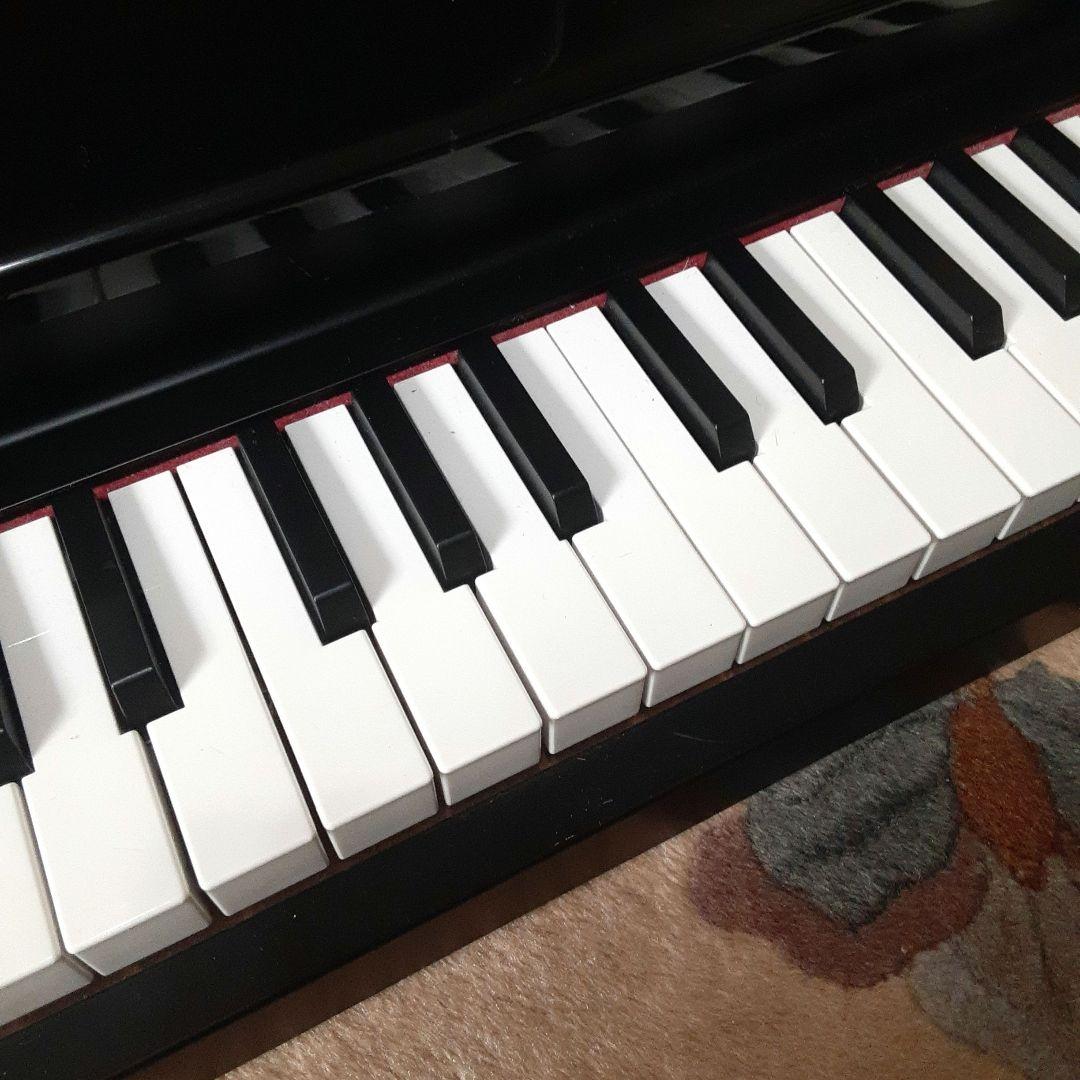【送料無料】KORG MICROPIANO マイクロピアノ ミニ鍵盤61鍵
