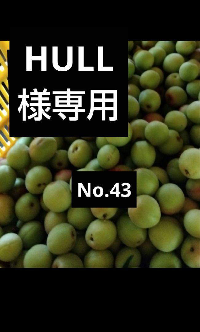 No.43 HULL様専用　南高梅　20kg