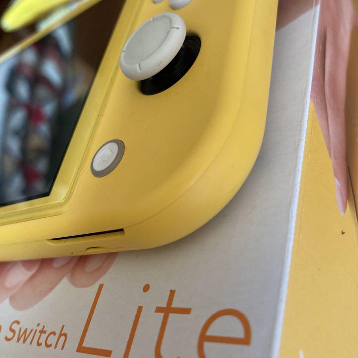 Nintendo Switch Lite 本体 充電器なし