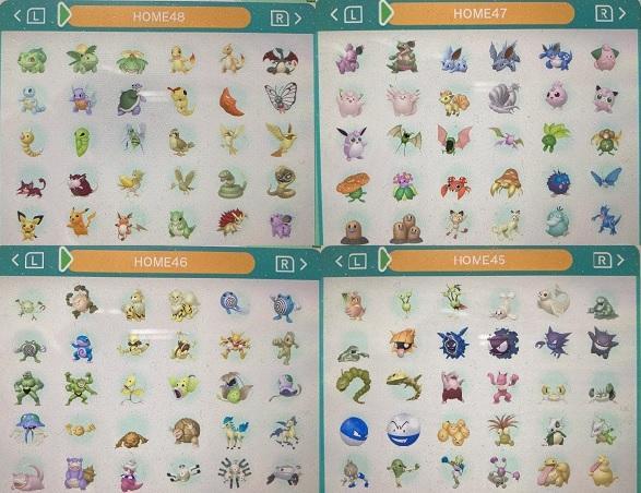 中古　ポケモン　ウルトラサン　図鑑コンプリート全807種類　色違い全種　育成済