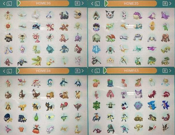 中古　ポケモン　ウルトラサン　図鑑コンプリート全807種類　色違い全種　育成済