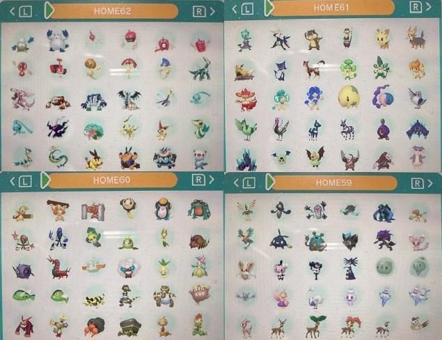 中古　ポケモン　ウルトラサン　図鑑コンプリート全807種類　色違い全種　育成済