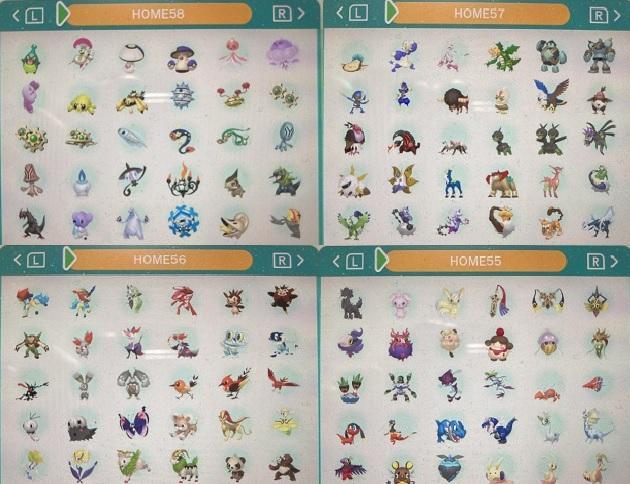 中古　ポケモン　ウルトラサン　図鑑コンプリート全807種類　色違い全種　育成済
