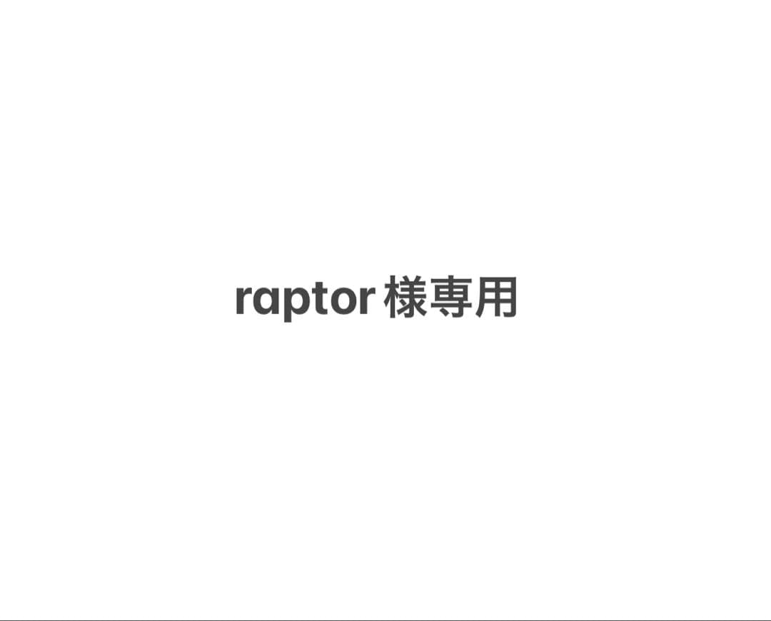 raptor様専用