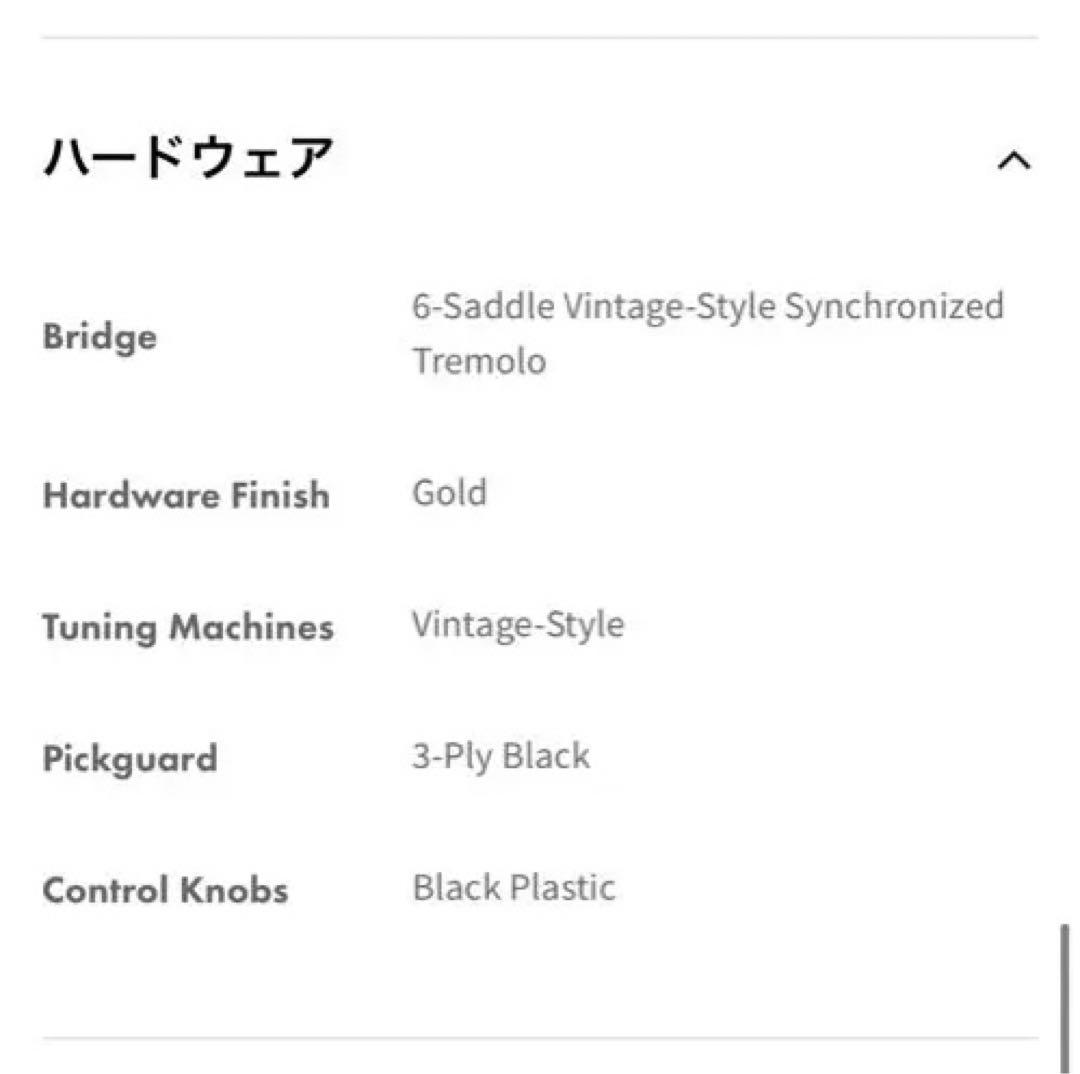 Fender Urushi Stratocaster 漆　旗艦店1周年記念モデル