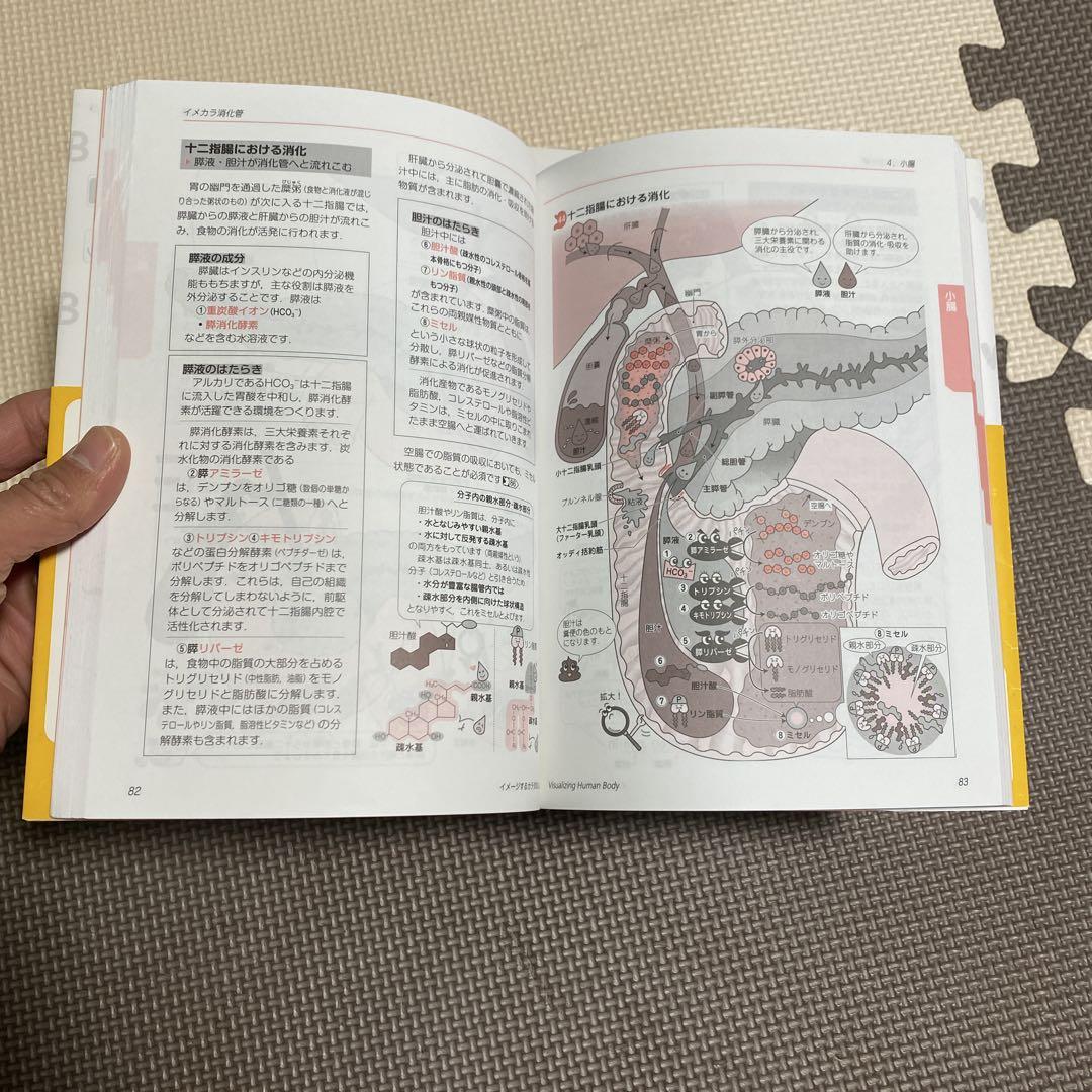 イメカラ　イメージするカラダのしくみ　8冊セット　医療情報科学研究所／編集本