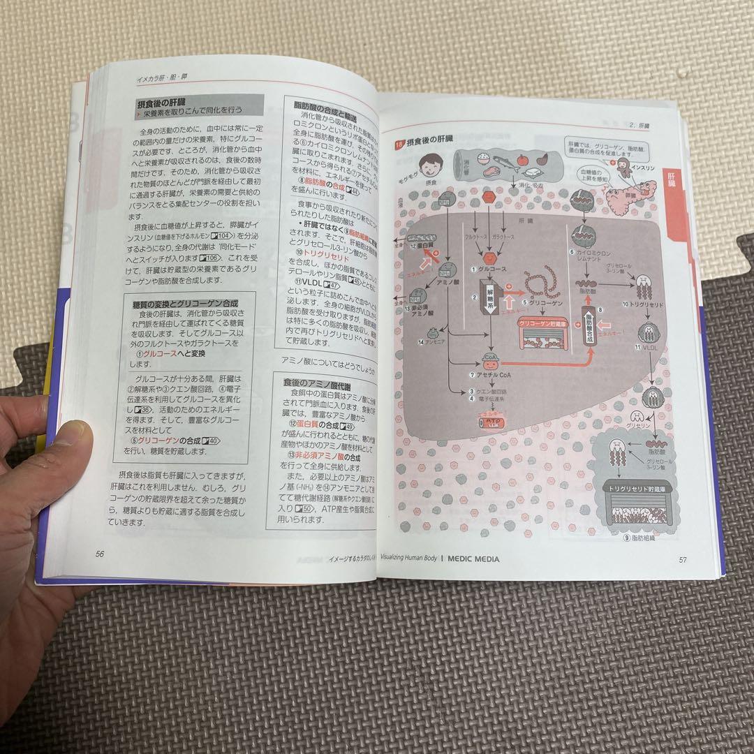 イメカラ　イメージするカラダのしくみ　8冊セット　医療情報科学研究所／編集本
