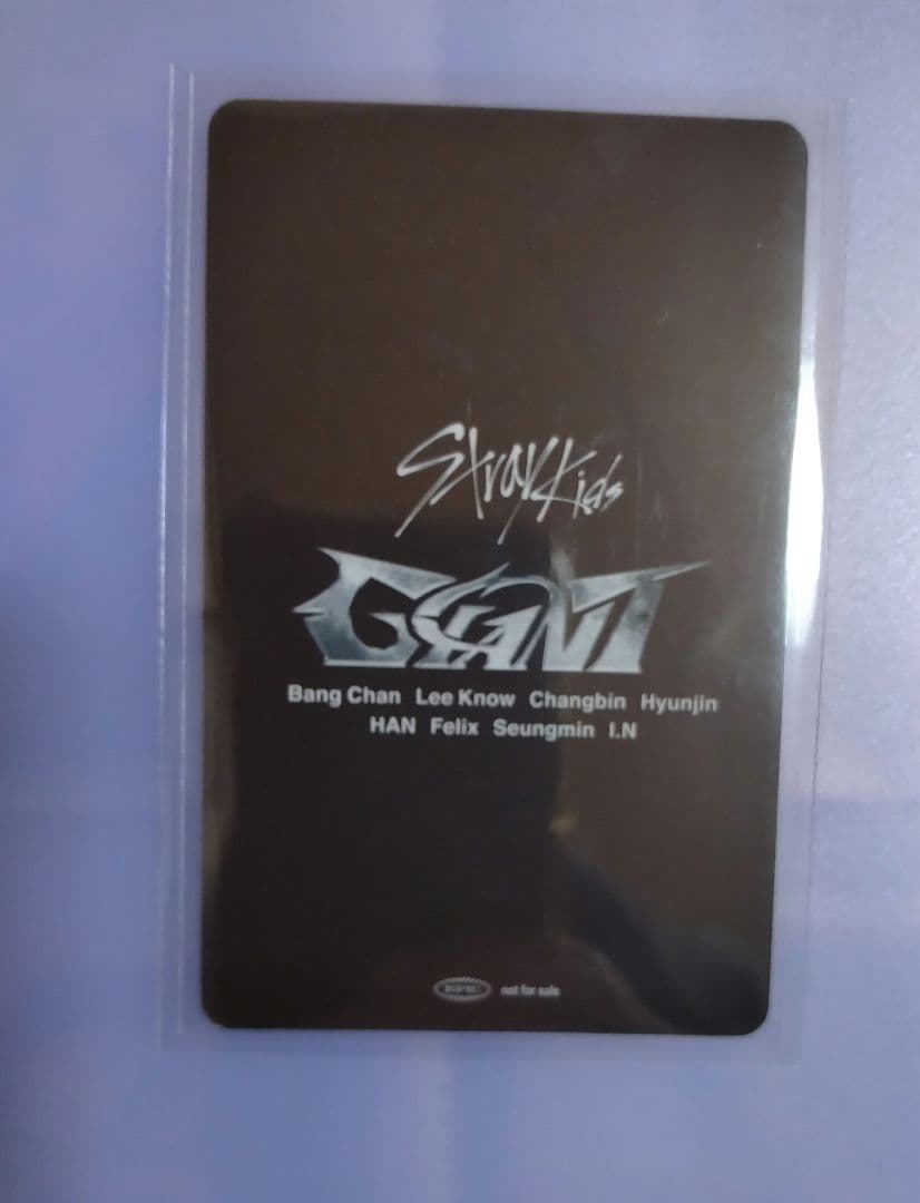 straykids バンチャン GIANT FC ソニミュ straykids バンチャン GIANT FC ソニミュ