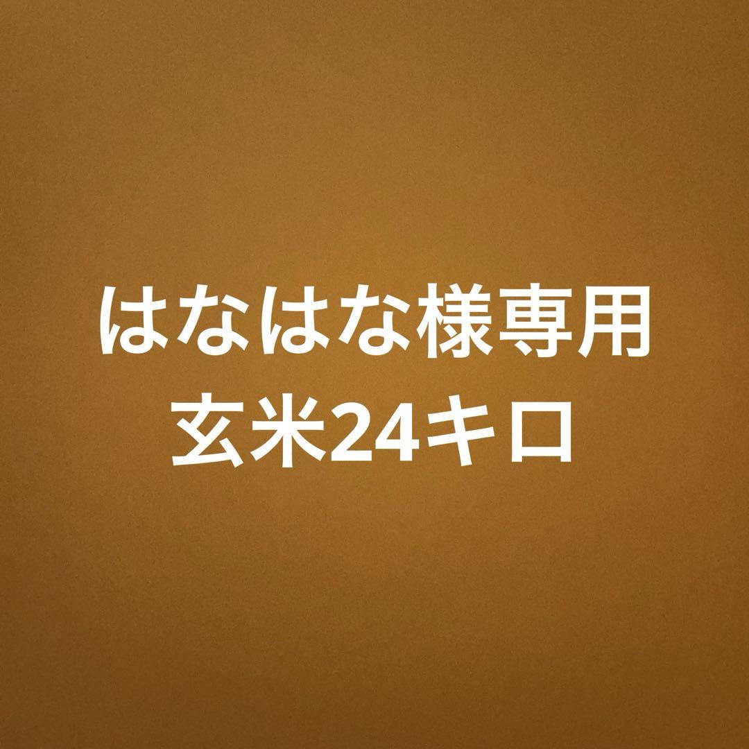 はなはな様専用 新米 玄米 24キロ