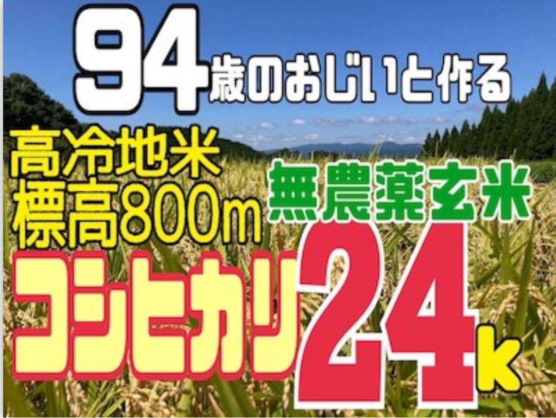 はなはな様専用 新米 玄米 24キロ