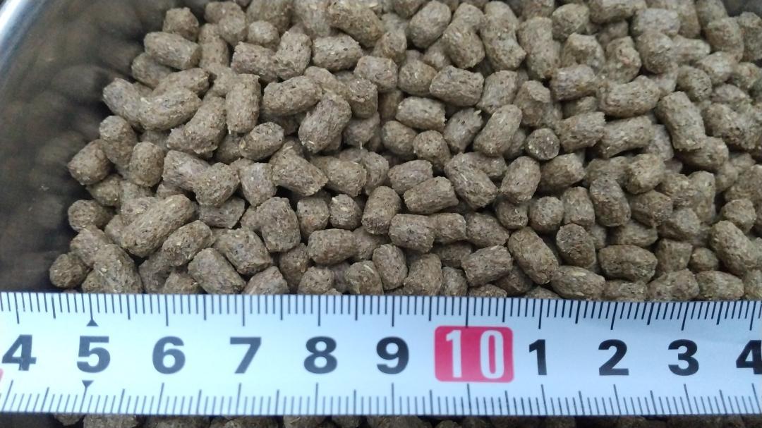 ☆送料無料 3kg【アヒル・コールダック用飼料・ペレット】 BC-6