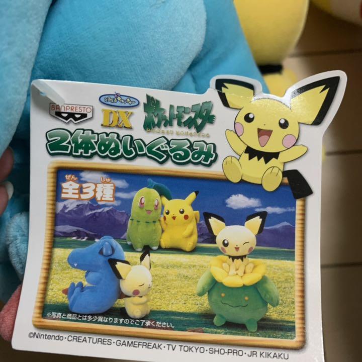ポケモン　ぬいぐるみ　ワニノコ　ピチュウ