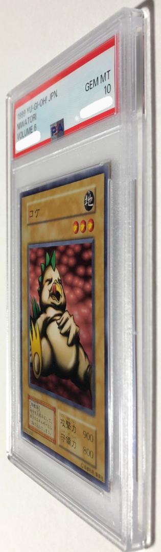 遊戯王 コケ PSA10 初期 Vol.6【1999年物】