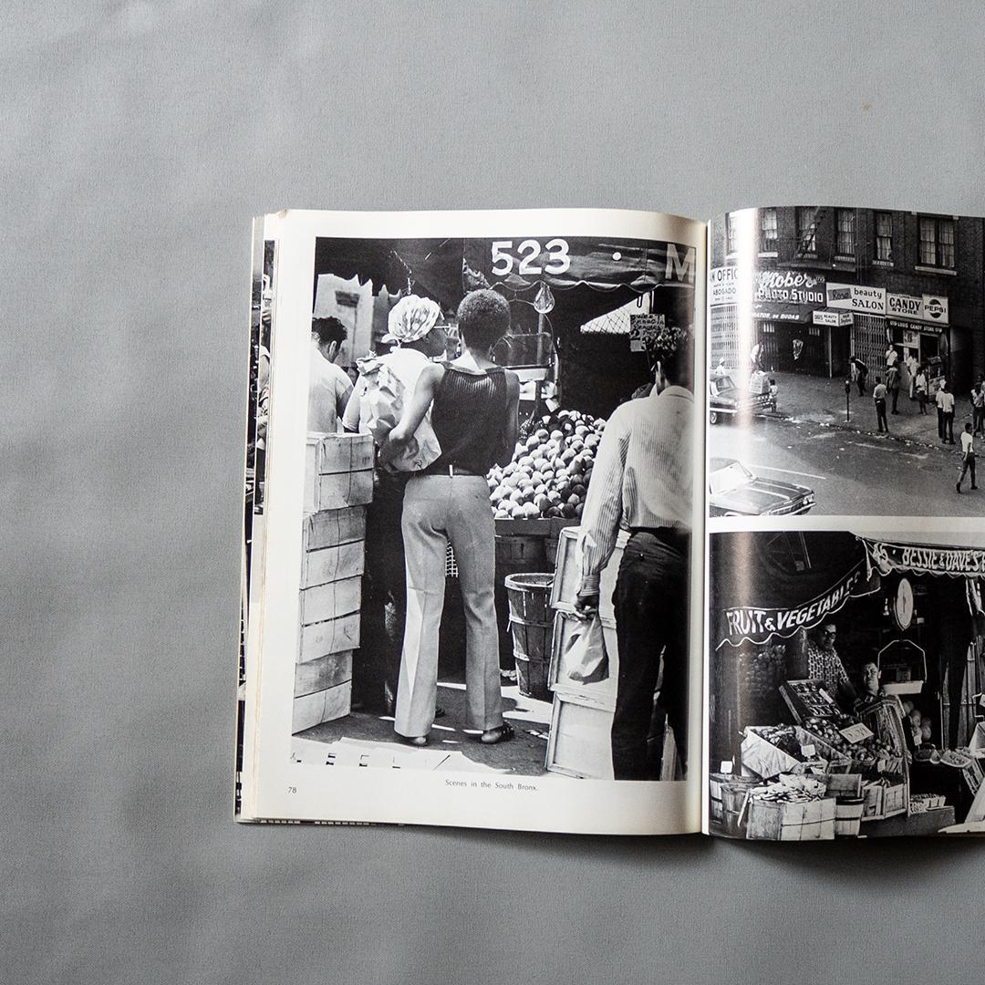 人文 \"New York in the Sixties\" used Book