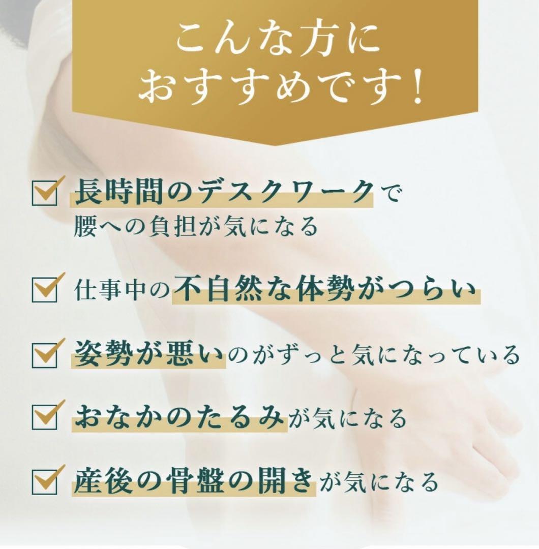 ガードナーベルト　正規品XL 美品