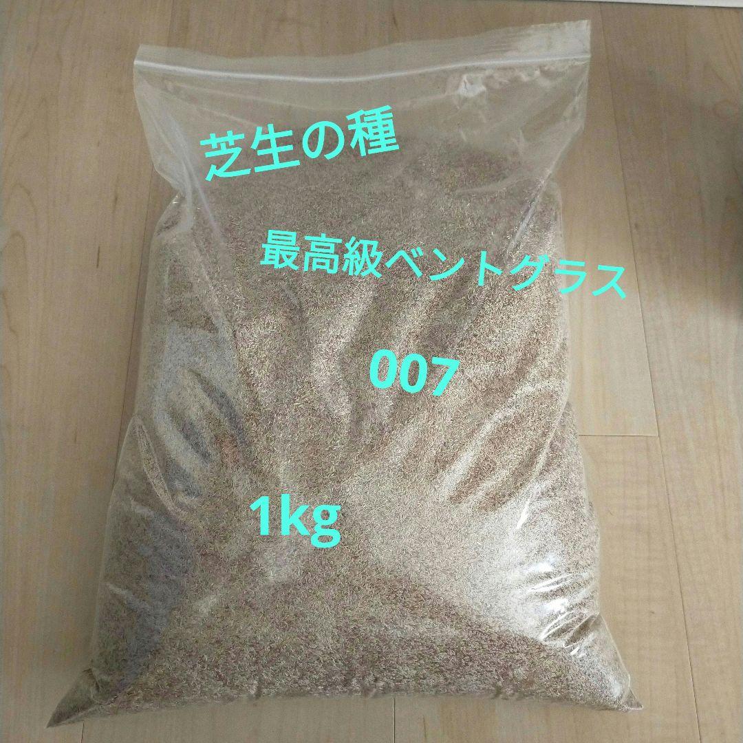 芝生の種 007 ダブルオーセブン 種 1kg