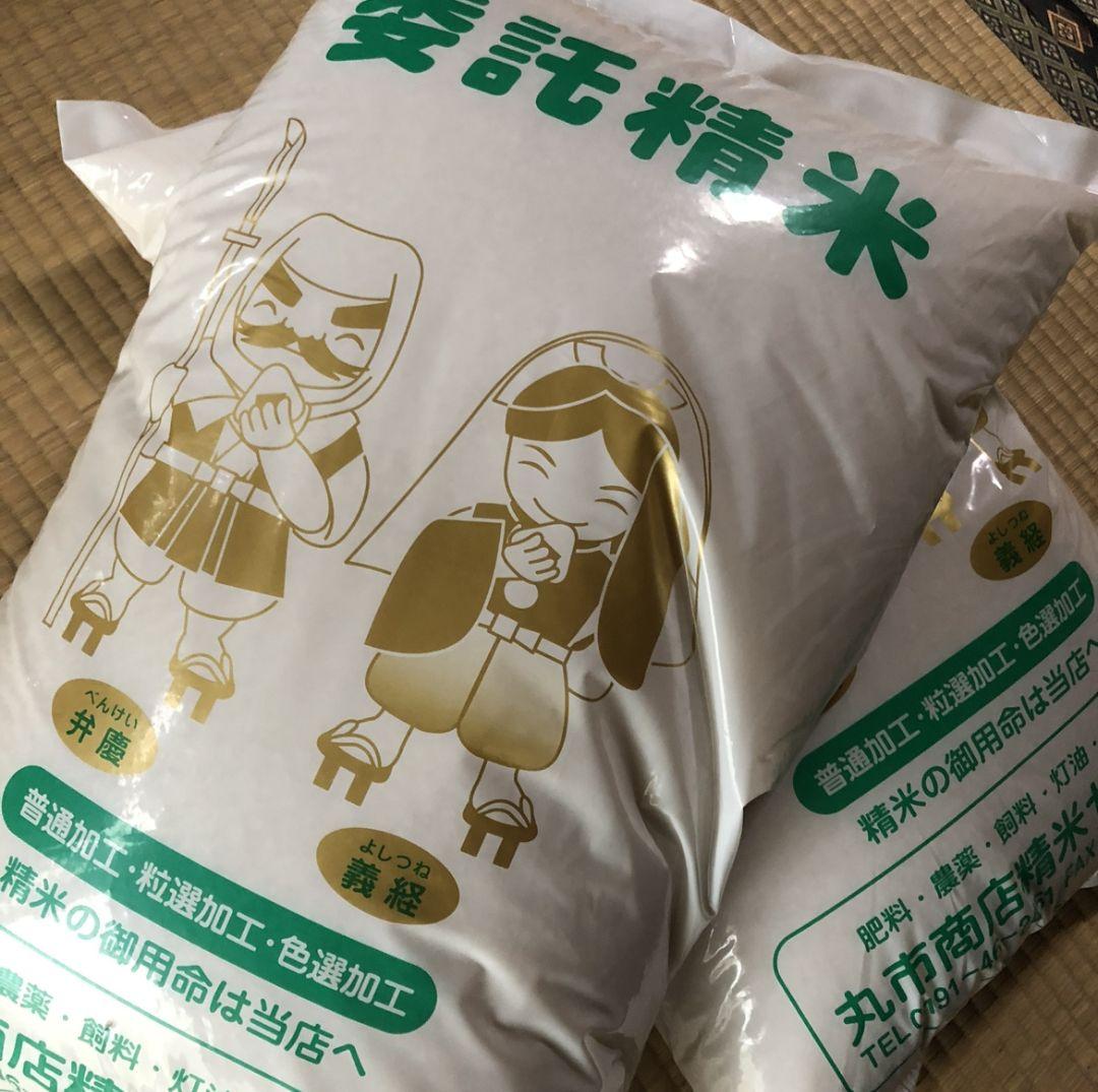 岩手県産　ひとめぼれ　20キロ　米　白米　コメ 20kg　新米　10キロ×２袋