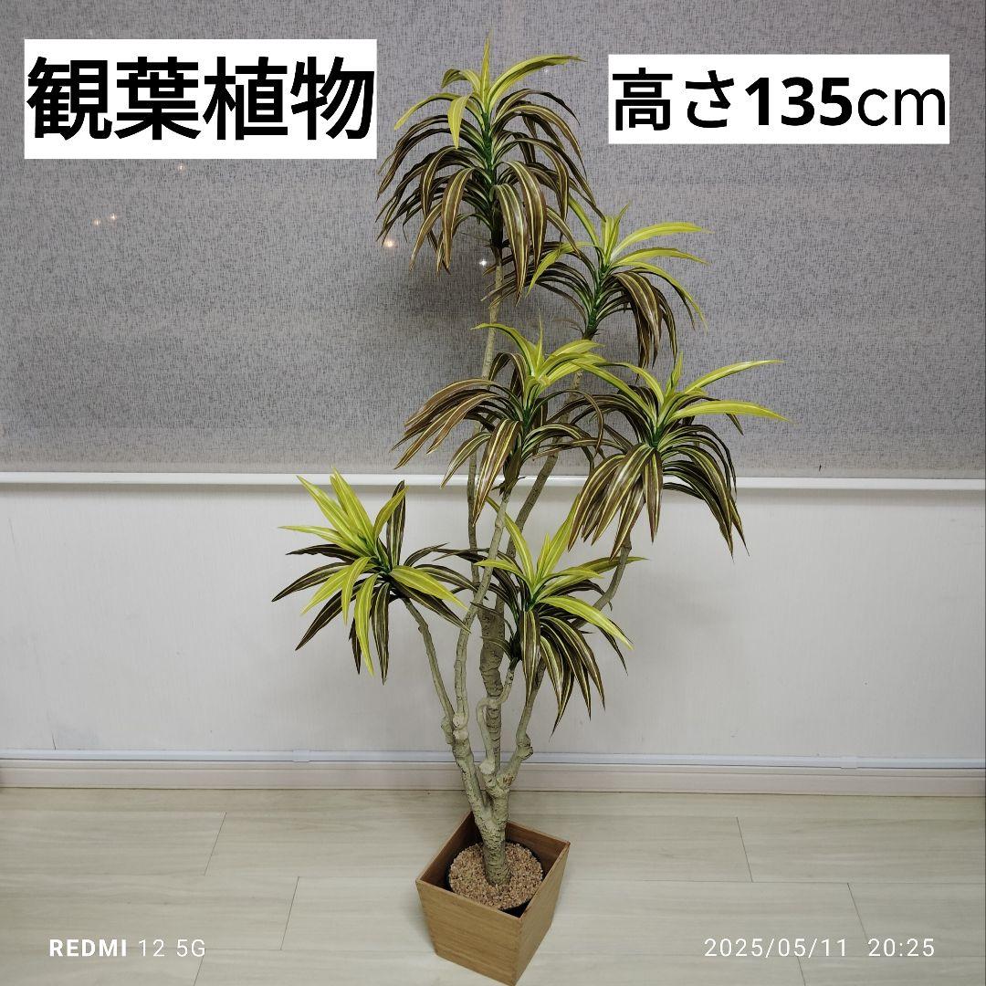 観葉植物　フェイクグリーン　ニトリ 造花ドラセナ インテリアナチュラル