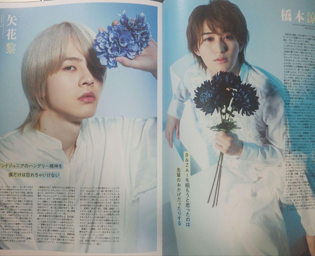 ザテレビジョン COLORS vol.16 PINK 抜けなし 雑誌