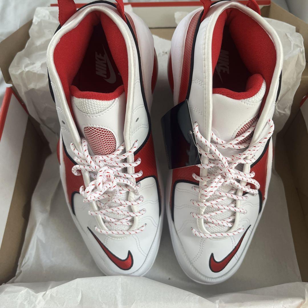 【箱違い】US11.5 29.5cm ZOOM FLIGHT 95 赤目