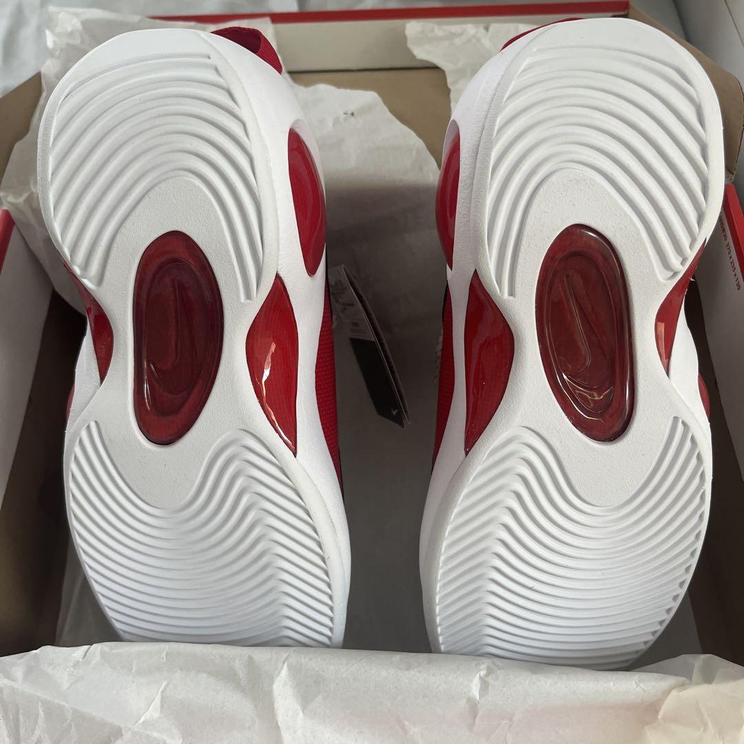 【箱違い】US11.5 29.5cm ZOOM FLIGHT 95 赤目