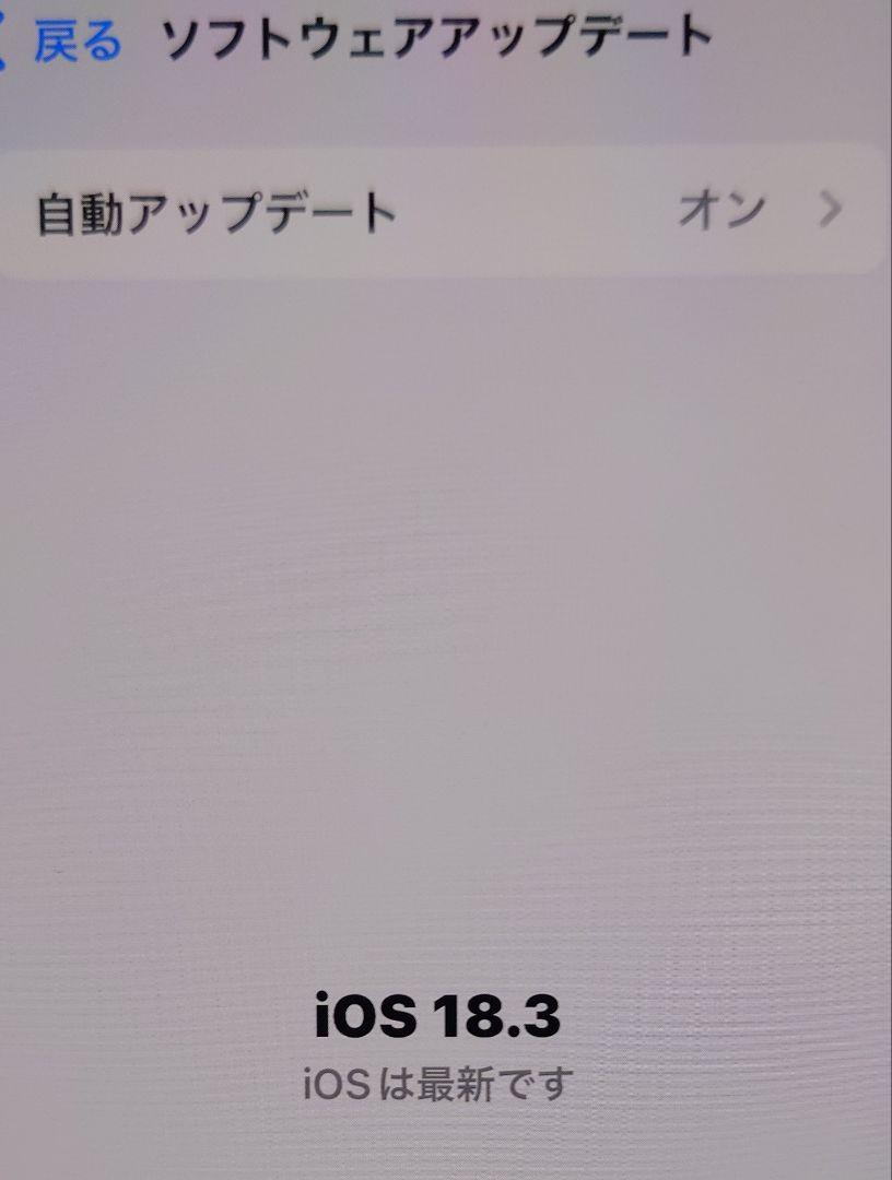 12mini