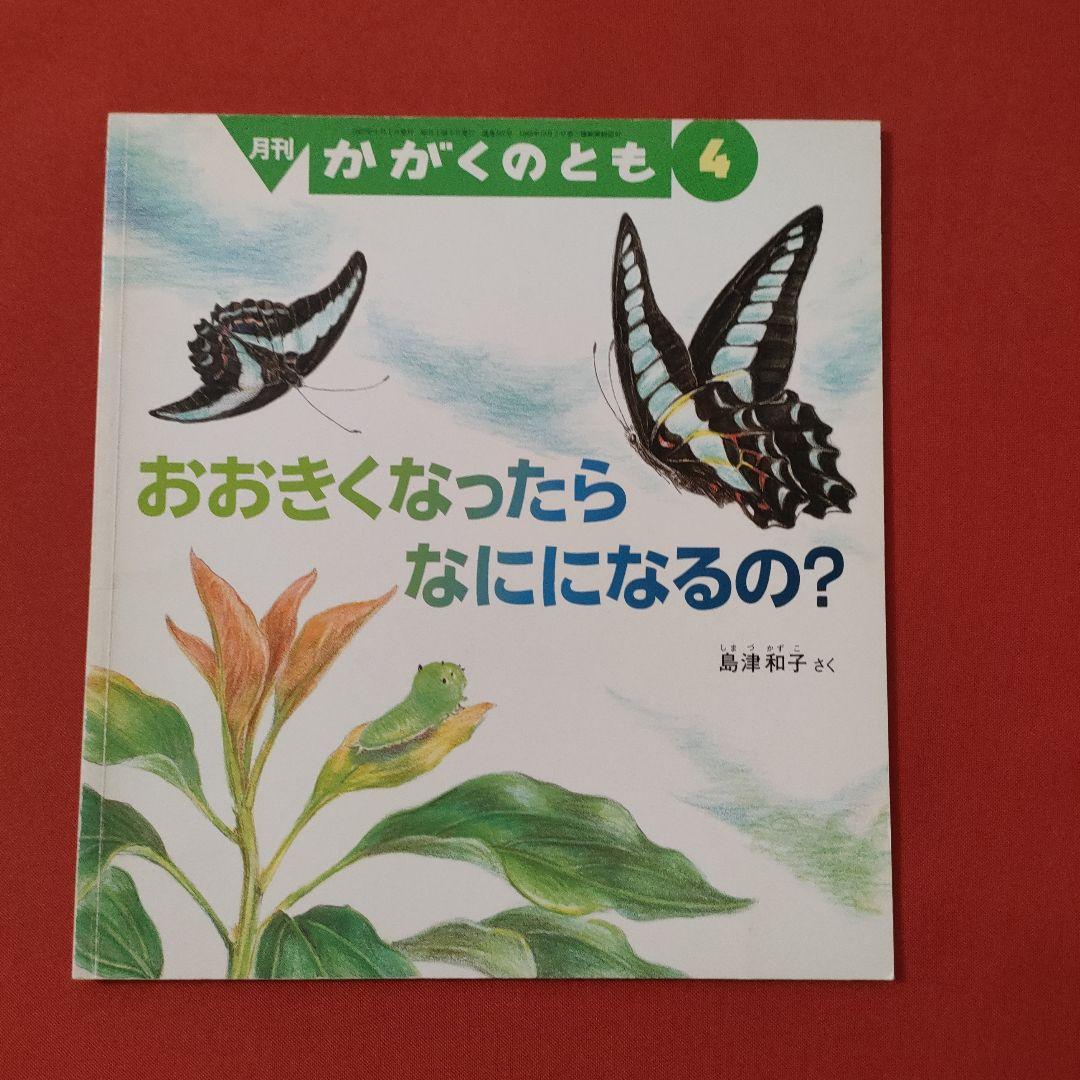 たくさんのふしぎ　かがくのとも　食草　花と虫　花がえらぶ虫がえらぶ　福音館